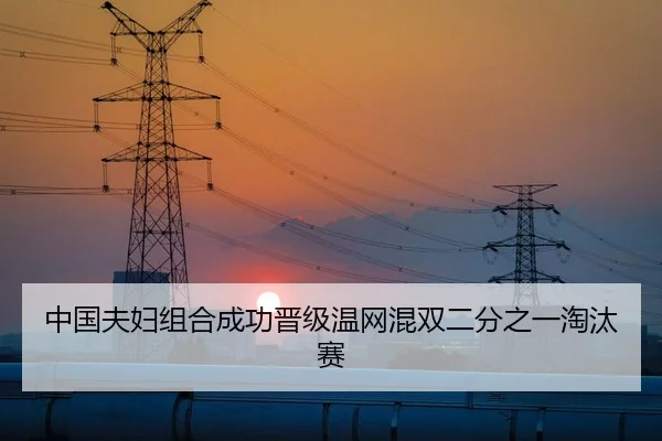 中国夫妇组合成功晋级温网混双二分之一淘汰赛 - bbsports